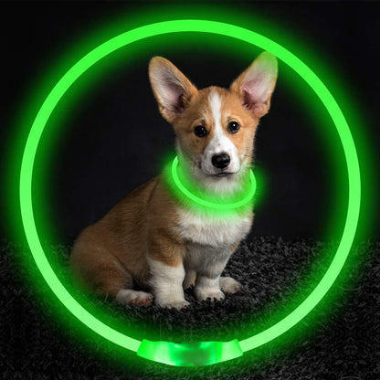 Pet Flashing Collar USB Rechargeable