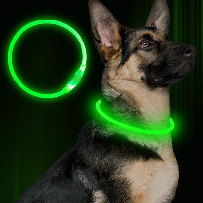 Pet Flashing Collar USB Rechargeable
